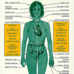 picture by: www.livelongercleanse.com thyroid