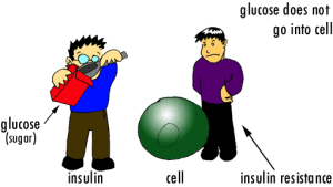 insulin resistance