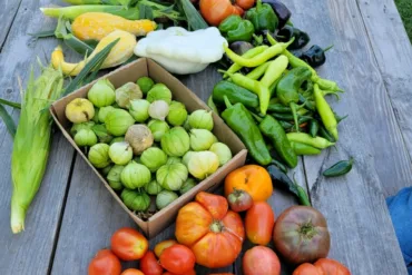 5 Small Steps while you Stay-at-Home to Improve your Health