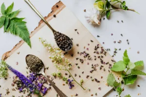 Assorted medicinal herbs and natural remedies