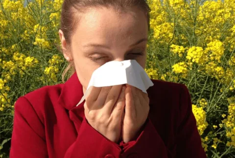 Person blowing their nose during seasonal allergies and sinus congestion