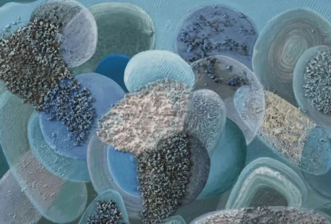 Abstract illustration of gut microbiome bacteria within the human digestive system representing gut health and immune balance